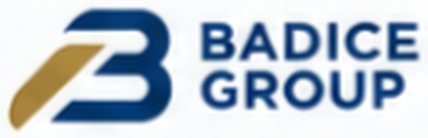 Logo officiel BADICE GROUP